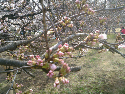 2013-03-20 10.36.30.jpg