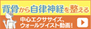 背骨から自律神経を整える 中央エクササイズ、ウォールツイスト動画!（YouTubeへ）